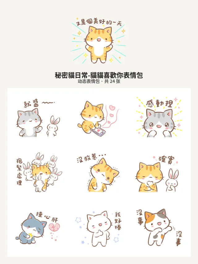 秘密貓日常-貓貓喜歡你