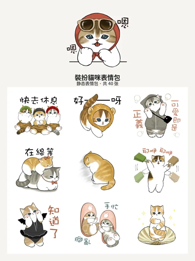 裝扮貓咪